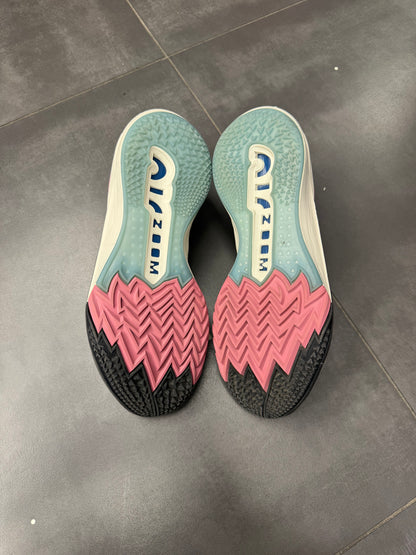 Nike Air Zoom GT Cut 2 "Black Desert Berry" (PREOWNED)