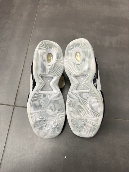 Nike PG5 TB "White Black" (PREOWNED)